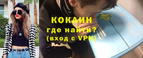 сатива Невель