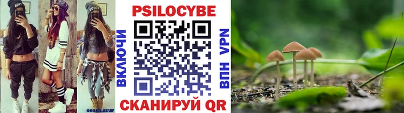 хочу Сунжа Галлюциногенные грибы Cubensis