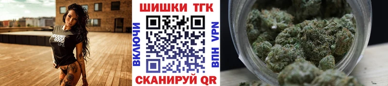 Марихуана план купить Сунжа