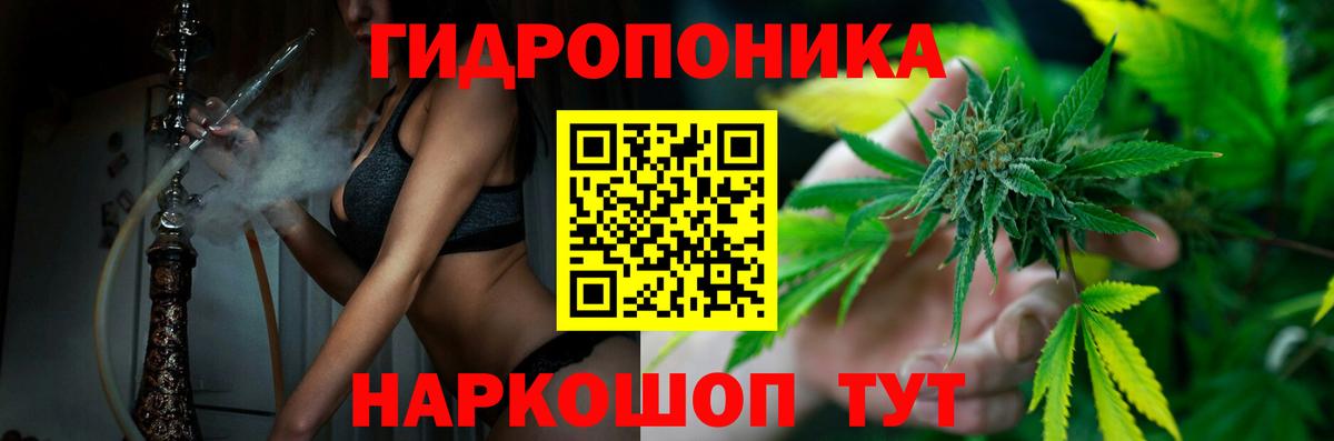 Конопля Ganja  МАРИХУАНА план  Бошки Шишки AK-47  Сунжа 